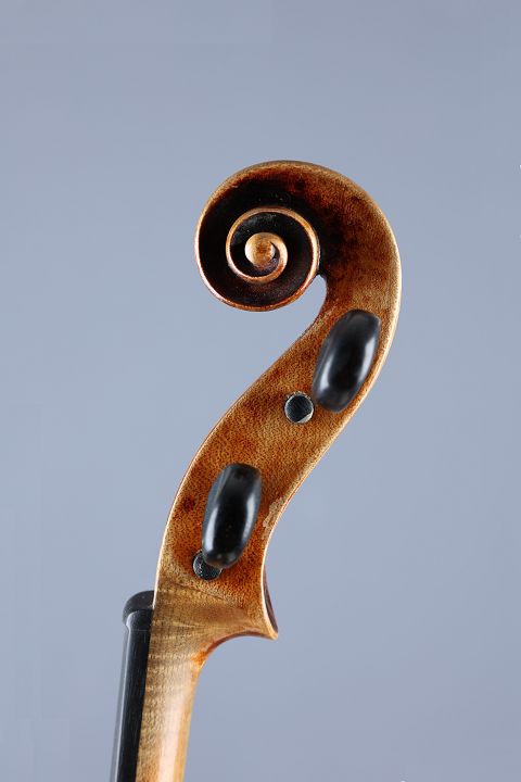Saxony copy around 1900 - Stainer model - V10298